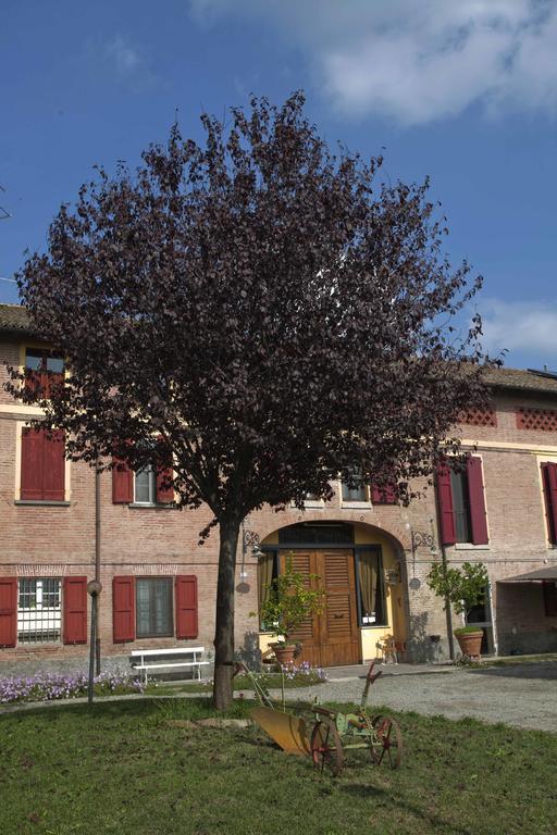 Agriturismo Il Bove Reggio nell'Emilia Zewnętrze zdjęcie