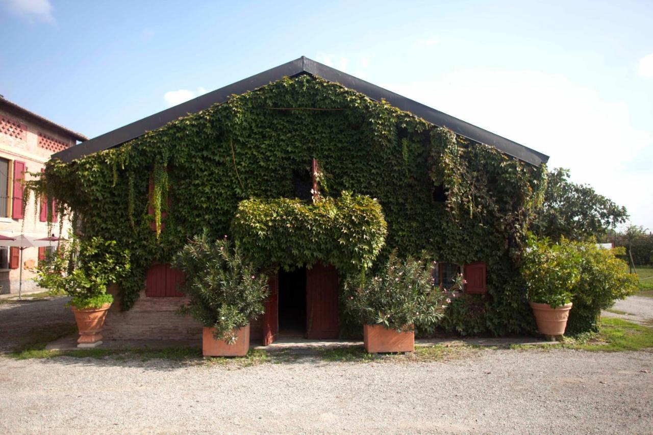 Agriturismo Il Bove Reggio nell'Emilia Zewnętrze zdjęcie